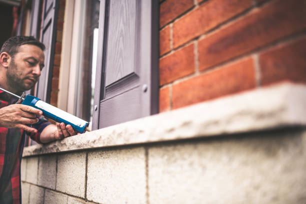 Best Best Insulation Companies  in Lauderdale Lakes, FL