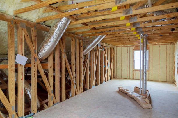 Best Crawl Space Insulation  in Lauderdale Lakes, FL