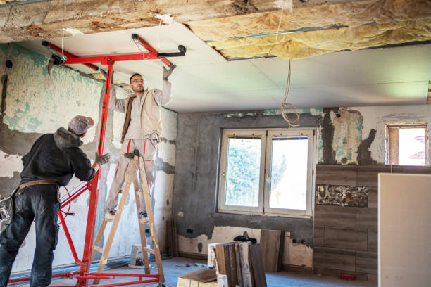 Best Affordable Insulation Services  in Lauderdale Lakes, FL