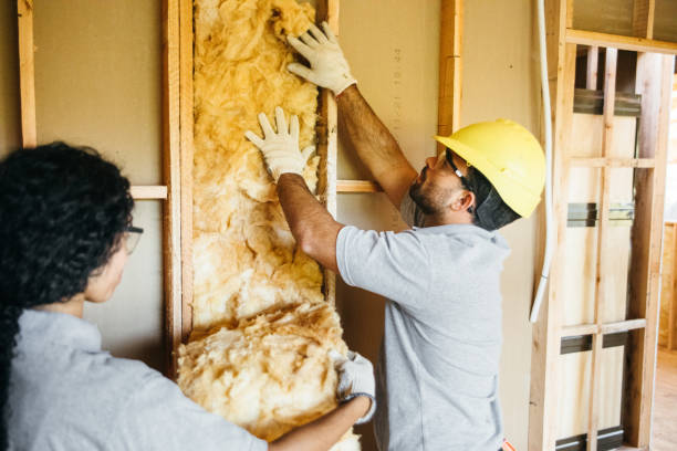 Best Spray Foam Insulation  in Lauderdale Lakes, FL