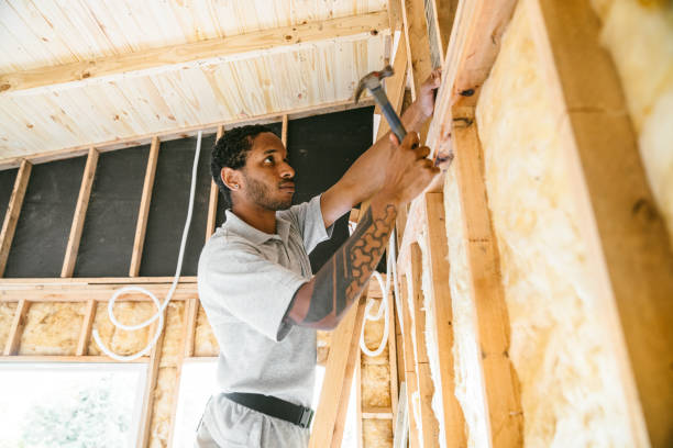 Best Insulation Replacement Services  in Lauderdale Lakes, FL