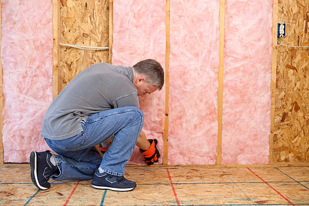 Best Local Insulation Services  in Lauderdale Lakes, FL